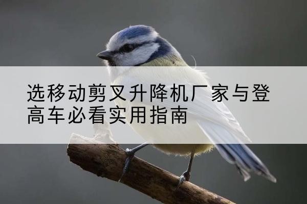 黎平电动升降机厂家-选移动剪叉升降机厂家与登高车必看实用指南