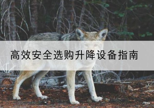 黎平升降货梯厂家推荐-*安全选购升降设备指南