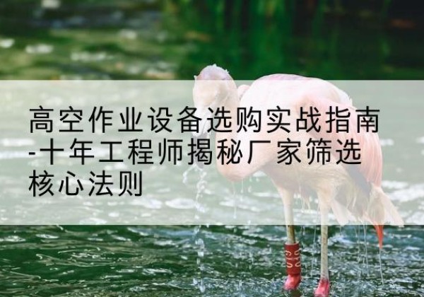 黎平剪叉式升降机厂家-高空作业设备选购实战指南-十年工程师揭秘厂家筛选核心法则